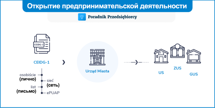 Индивидуальная предпринимательская деятельность в Польше — что нужно знать?