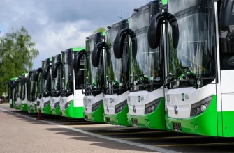 Ряд новых, современных городских автобусов, окрашенных в бело-зеленые цвета, припаркованных на открытой стоянке. На передних панелях автобусов виден логотип BKM. Пасмурный день, на заднем плане видны деревья.